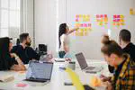 Vive la différence - research software engineers